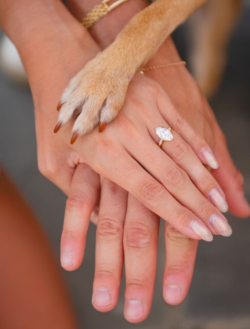engaged couple and diamond ring, with dog paw