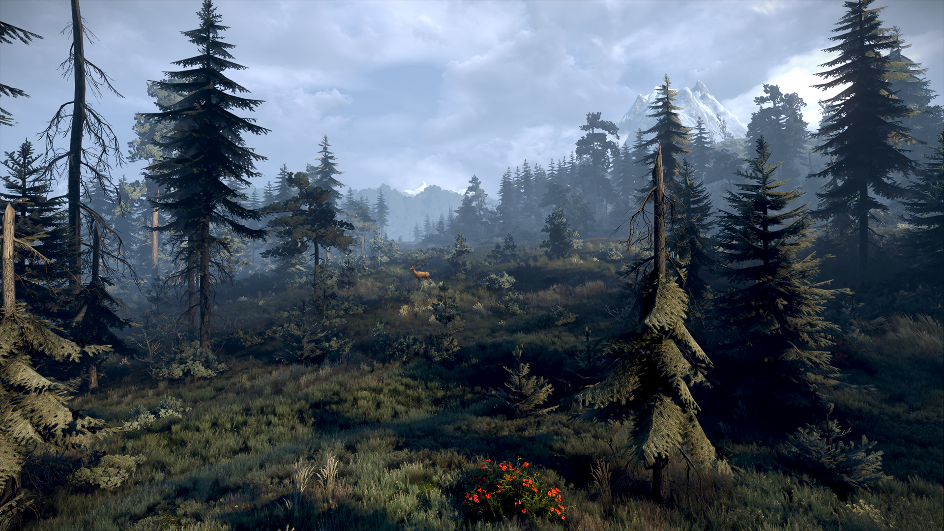 The Skellige coast during a storm in The Witcher 3