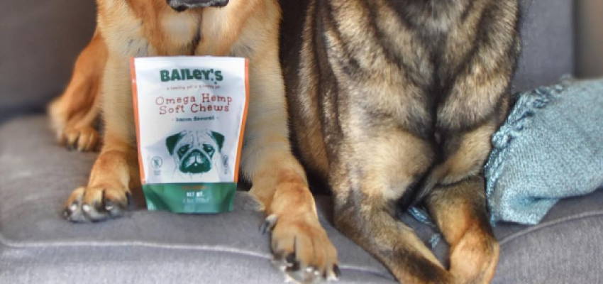 cbd soft chews for dogs