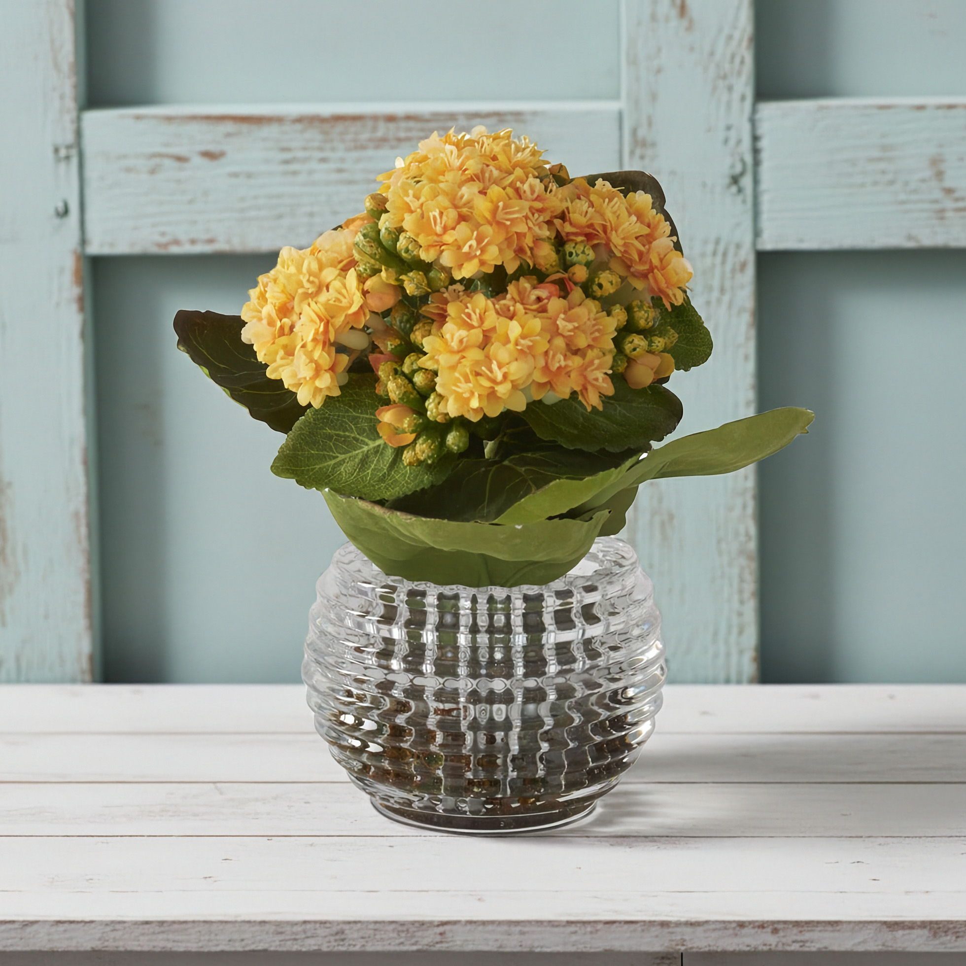 Mini Kalanchoe Flower Arrangement