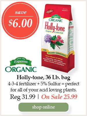 Espoma Organic Holly-tone, 36-pound bag - Save $6.00! 4-3-4 fertilizer + 5% Sulfur=perfect for all of your acid loving plants. | Regular price $31.99. On Sale $25.99. | Shop Online