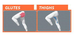 Glutes and Thighs - Muscle Activation