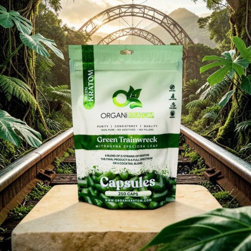 Organic supplement capsules in a natural jungle setting.