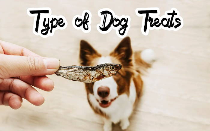 Learn more about the type of dog treats at our online pet shop.