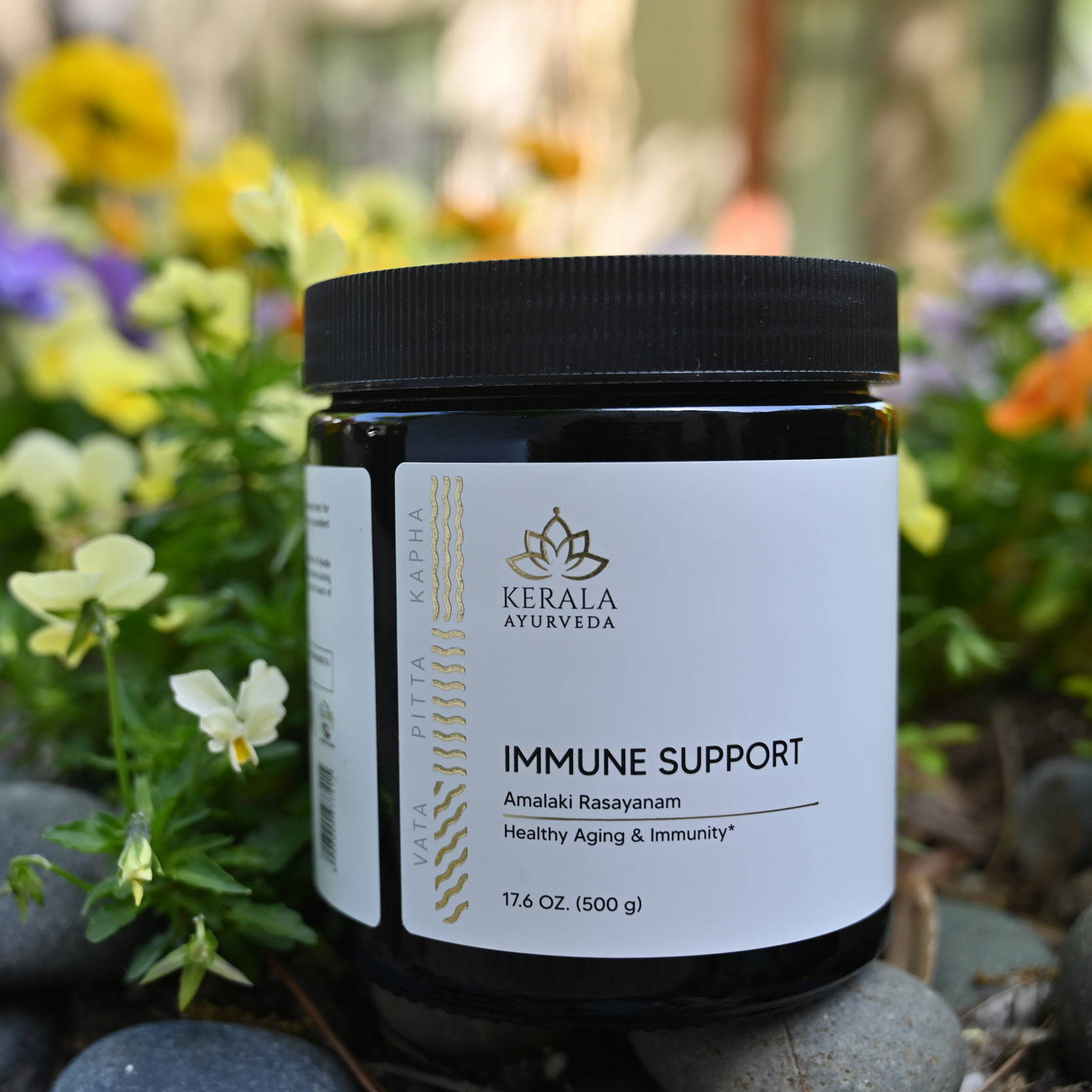 Immune Support (Amalaki Rasayana) 