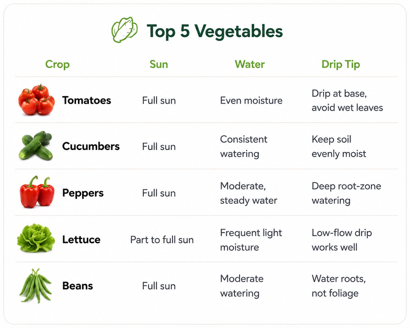 Table listing top 5 vegetables with care instructions.
