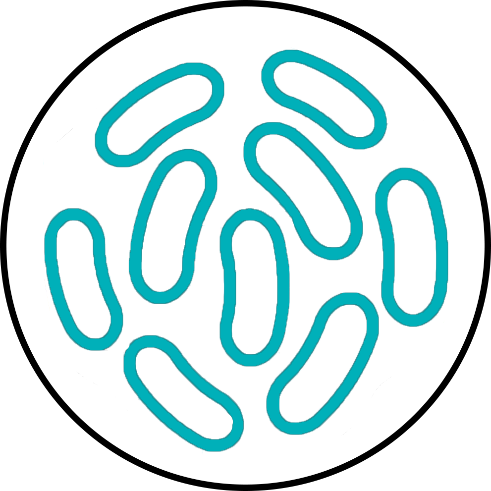 Probiotics