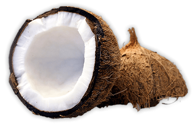 Coco tierno