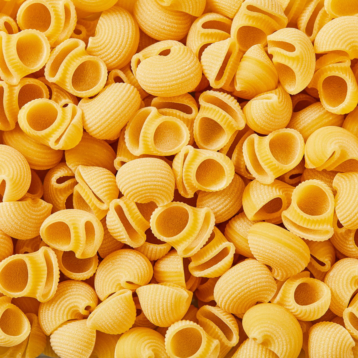 Close-up of shellbows pasta.