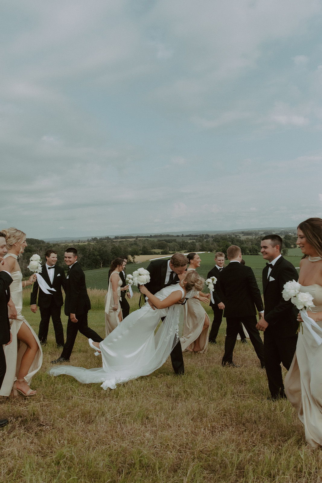 A wedding party poses in a grassy field under a cloudy sky.