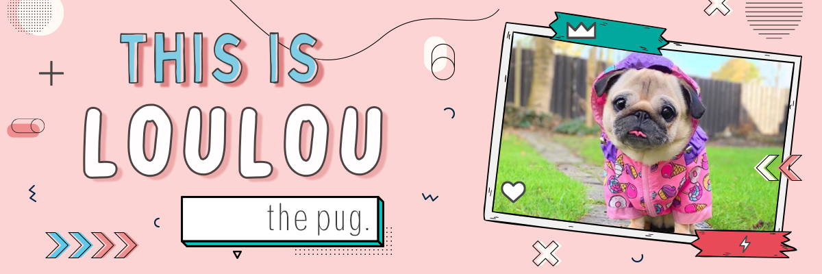 This is LouLou the Pug Banner