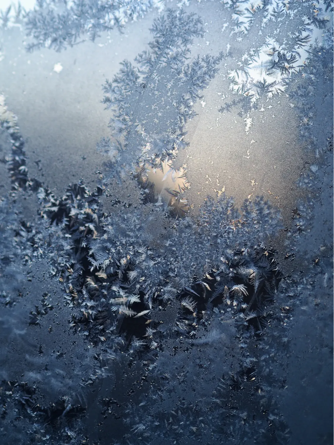 Closeup of frost