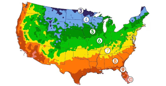 Hardiness zone image of the United States