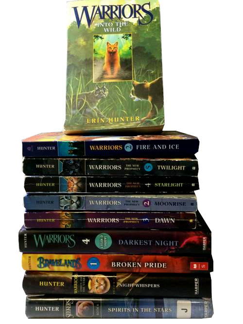 book bundles by theme sold by the book bundler