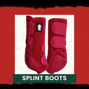 splint boots for horses