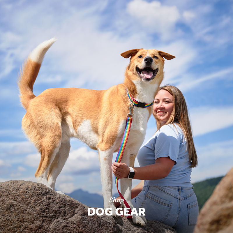 A woman stands with a happy dog on a rock against a blue sky.