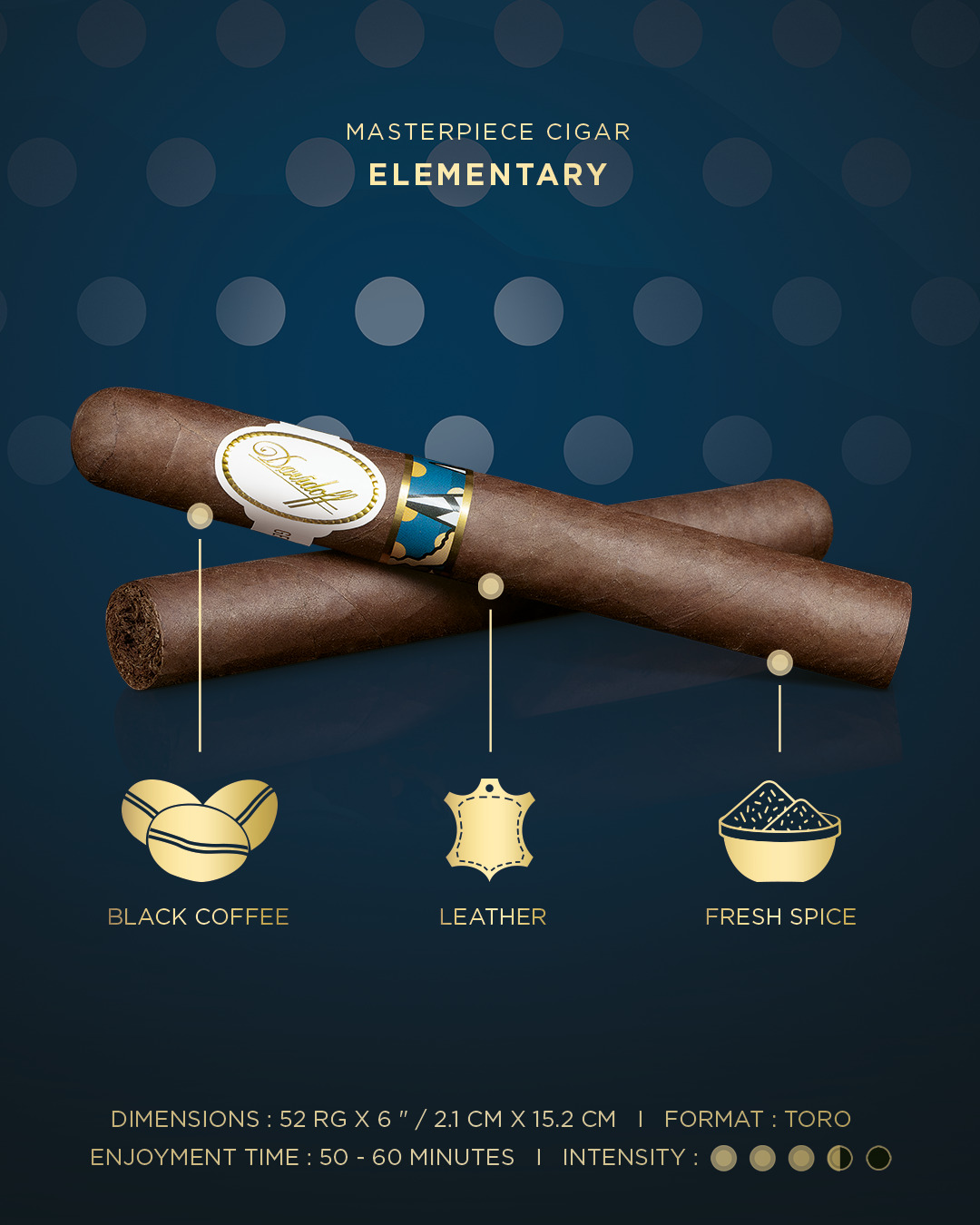 Two toro cigars which come with the Davidoff & Boyarde Masterpiece Humidor Elementary with blend details displayed, such as main aromas, enjoyment time and intensity.