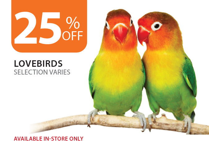 25% off Lovebirds. Available in-store only