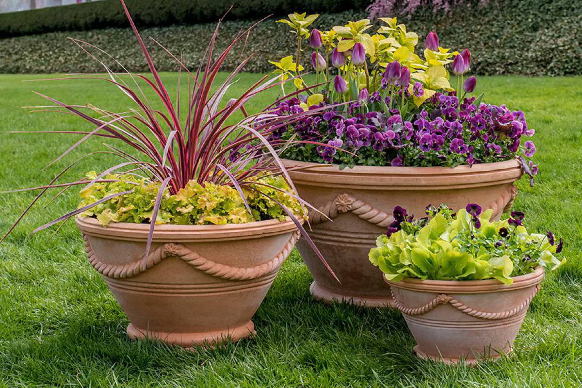 The Italian Terracotta Anniversary Vase featured in various sizes at the New York Botanical Garden.