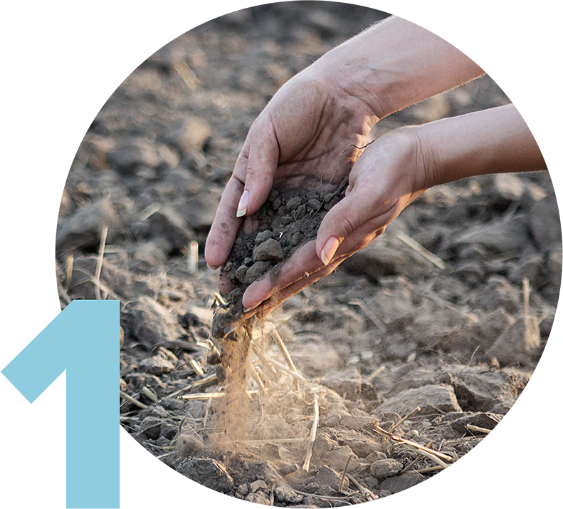 Hands in degraded, dry soil. 