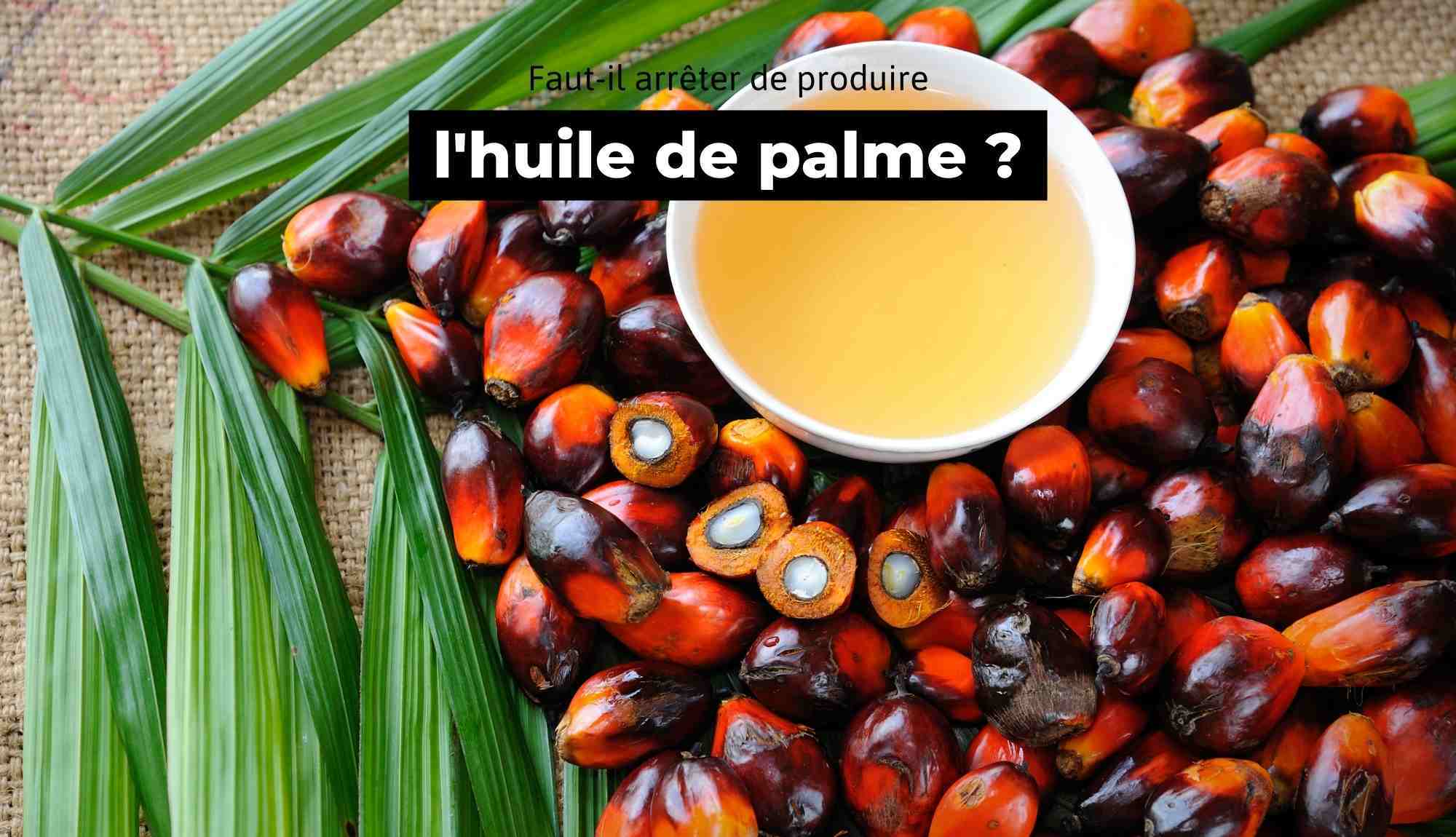 Faut-il arrêter de produire de l'huile de palme ? - The Trust Society