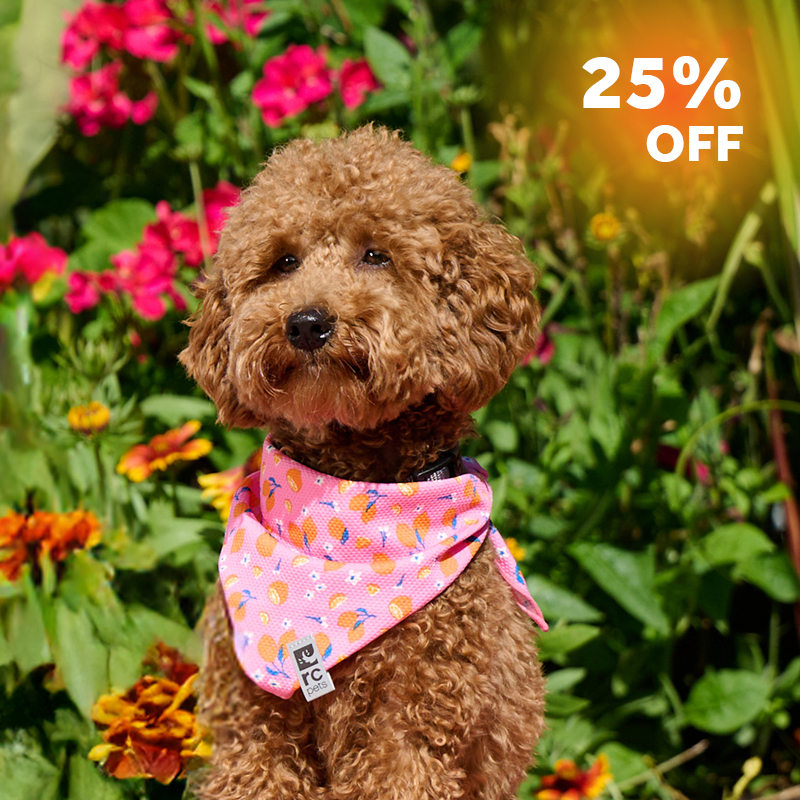 Pink cooling bandana with a floral design, 25% off promotion.