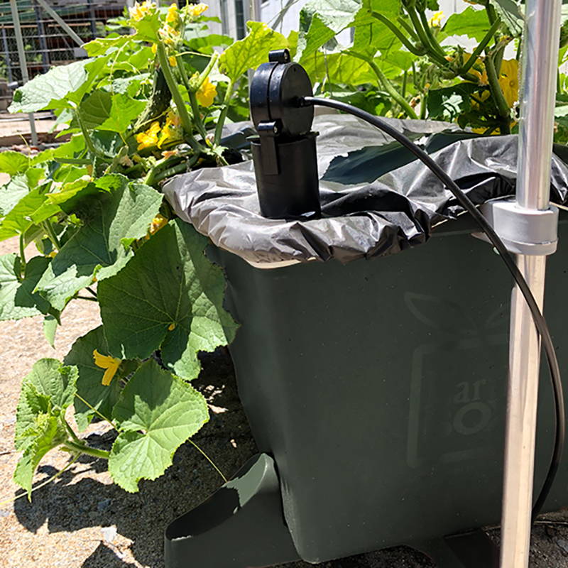 Automatic watering system hooked up to an EarthBox original container