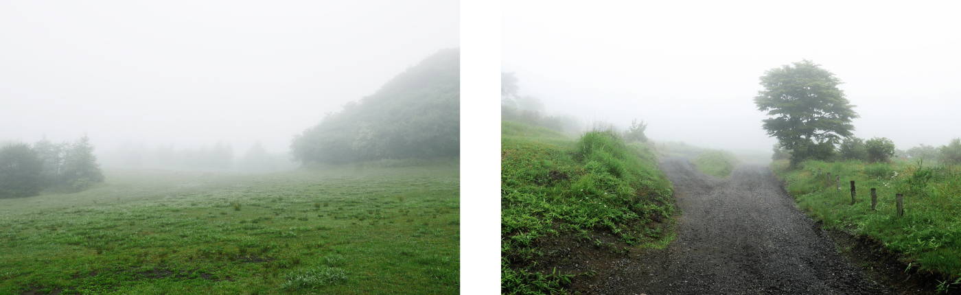霧に覆われた高原