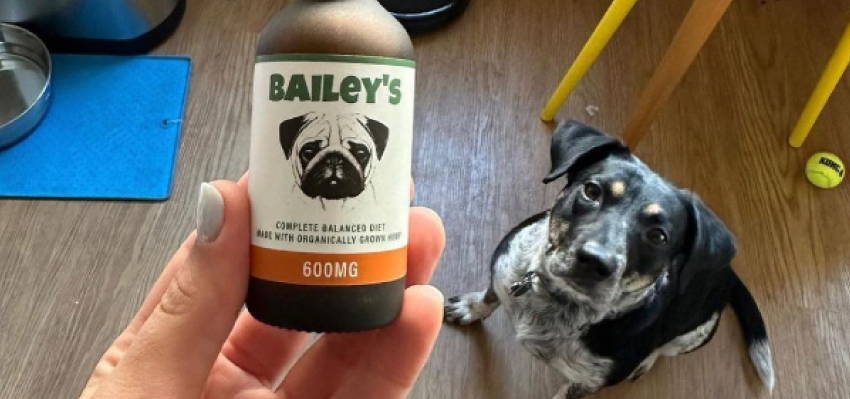 Image of a calm dog sitting and its owner showing Bailey's CBD Oil For Dogs product.