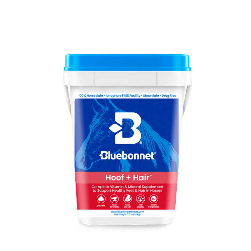 Container of Bluebonnet Hoof and Hair dietary supplement.