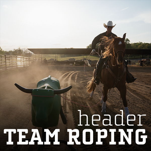 Cowboy on horseback roping a steer in a dusty arena.