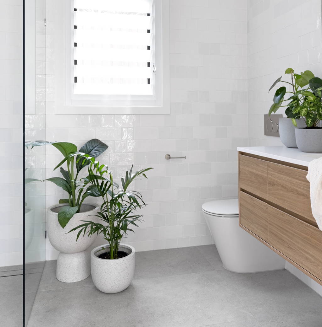 Bathroom Plant Collection shown in a bathroom setting from The Good Plant Co
