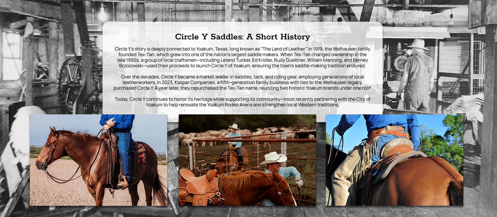 Horses being handled, with text and images in a ranch setting.