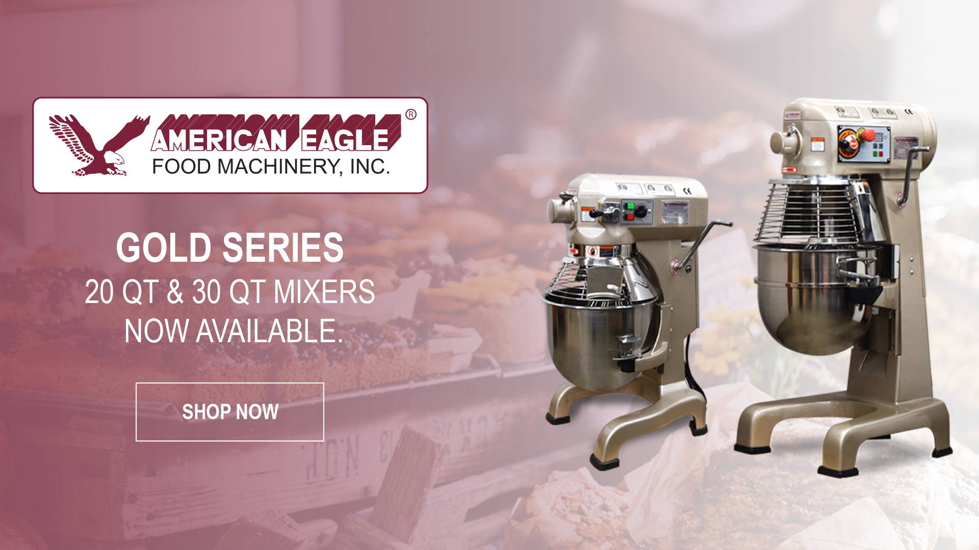 AE-4065 100 Qt Commercial Dough Mixer