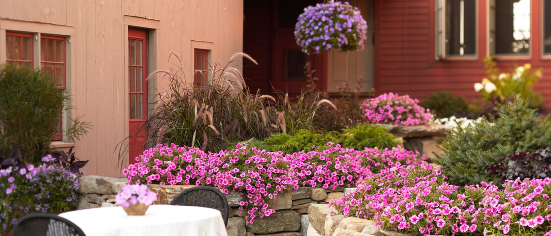  Photo of Superbells® Pink planted in a backyard garden