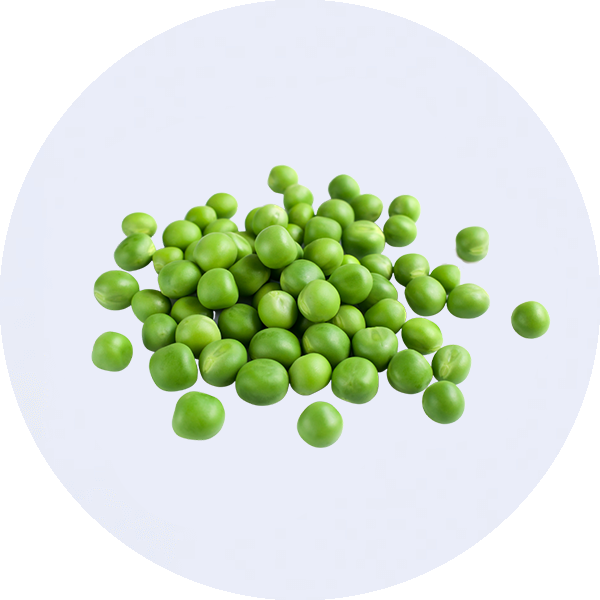 peas, an example of everyday food that has vitamin B12