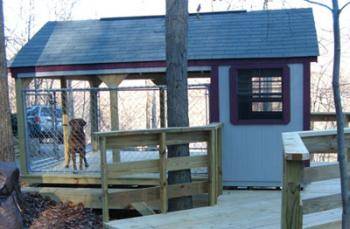 Dog Condo with covered fenced porched and full size shelter with dog and adult side door