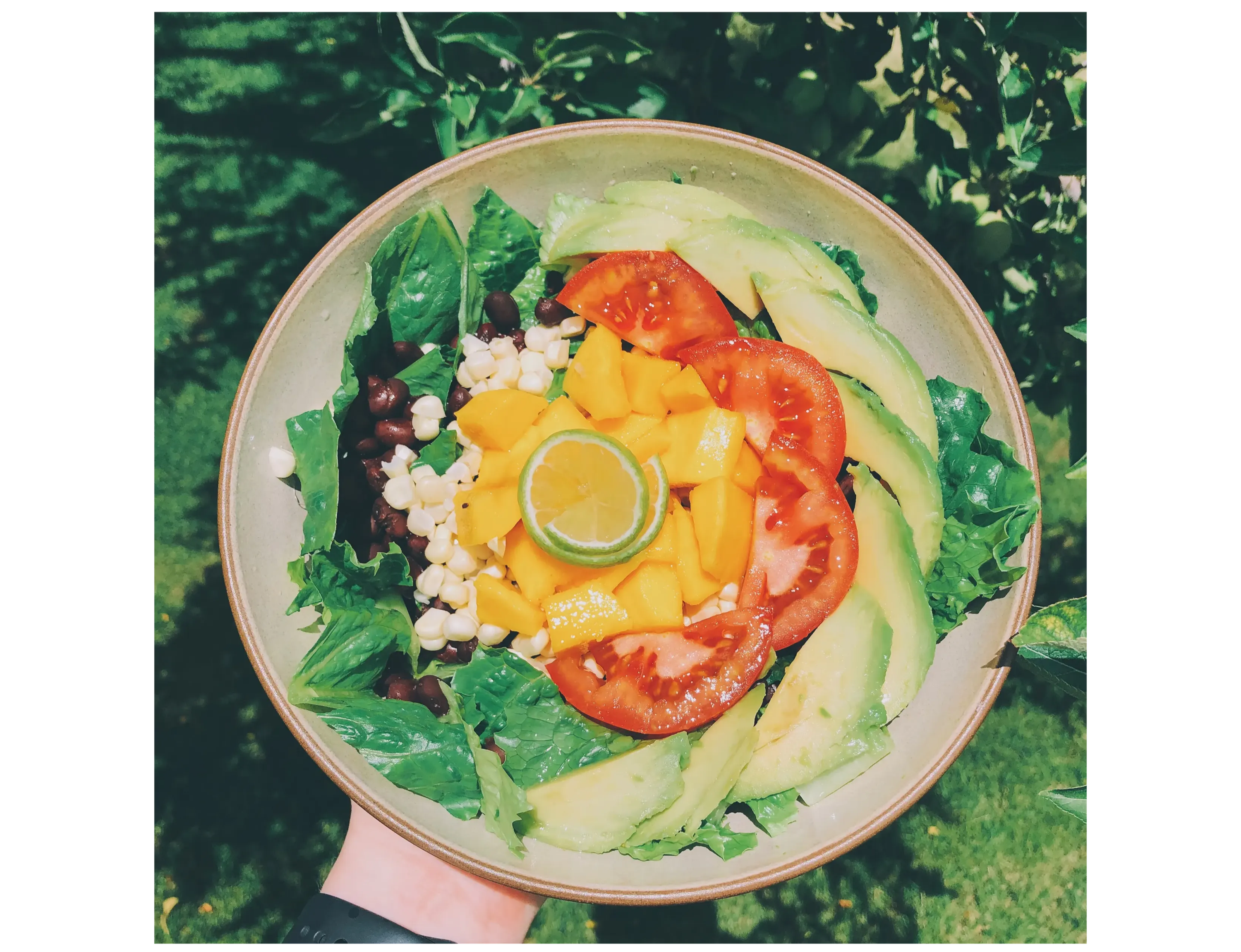 colorful plant-based salad meal 