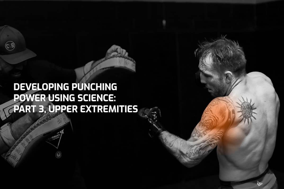 Punch Force - The Science Behind The Punch