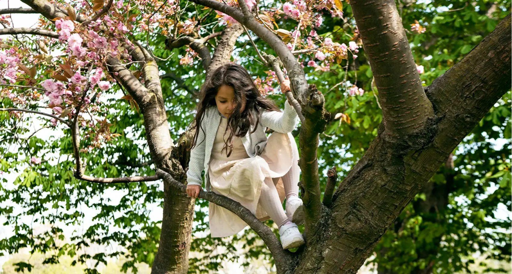 Dievča lezie dole zo stromu - je rozkvitnutý a má ten správny druh konárov na lezenie