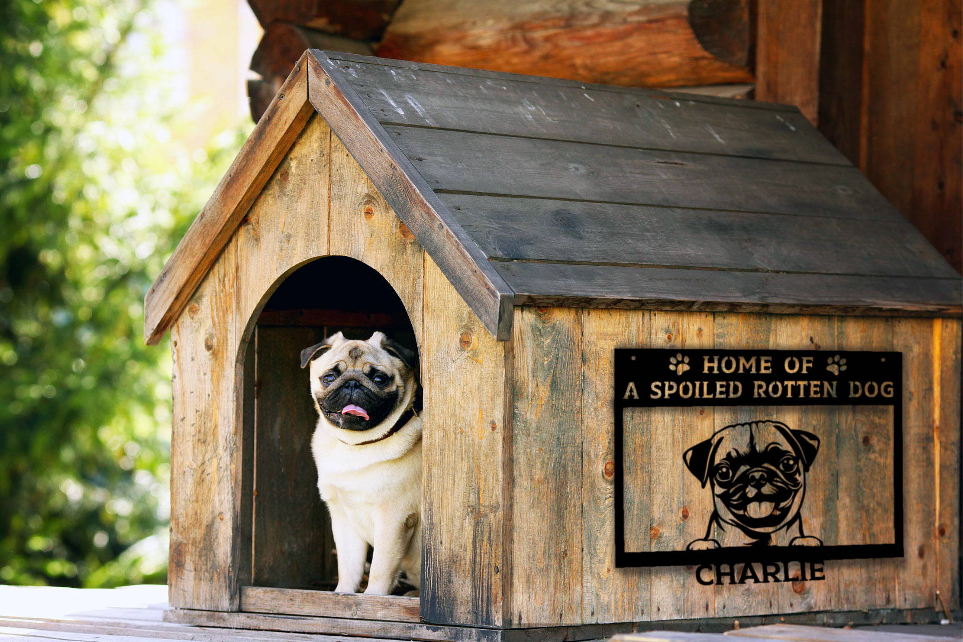 dog house in yard