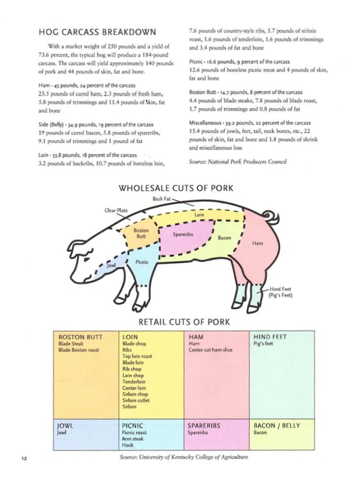 Pork breakdown showing different cuts of pork meat