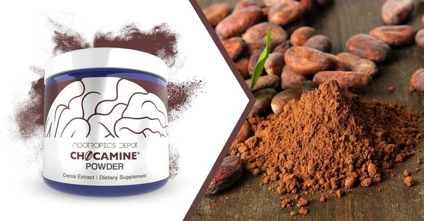 Chocamine: A Cocoa Extract For Memory, Focus, and Concentration