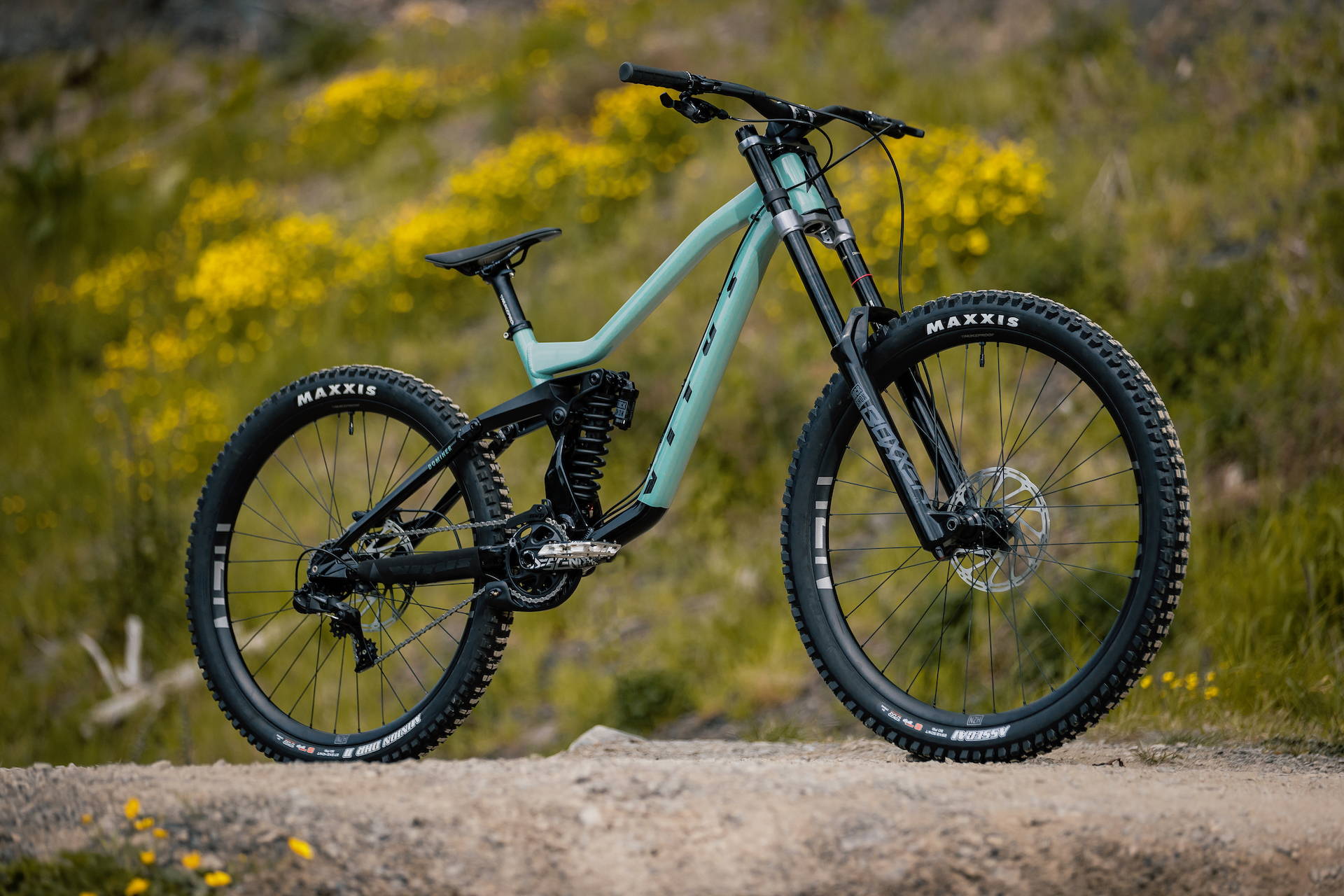 The Vitus Dominer 297 downhill bike 