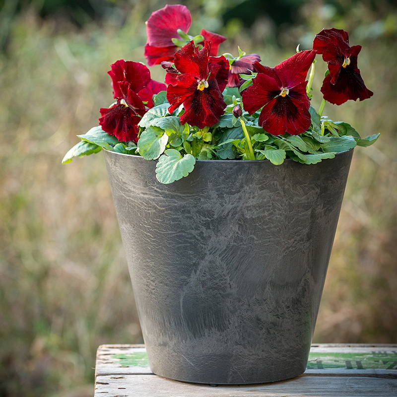 Red flowers planted in a grey napa round planter