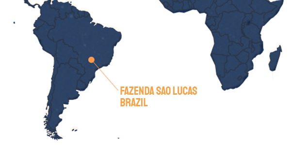 Map of our coffee origin: Farm Fazenda Sao Lucas, Brazil