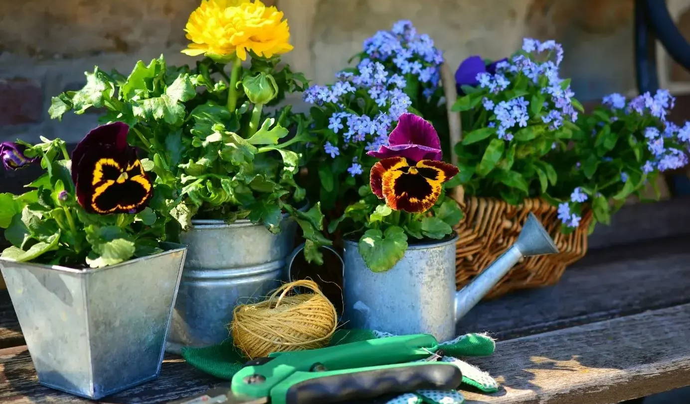 giardinaggio fai da te 