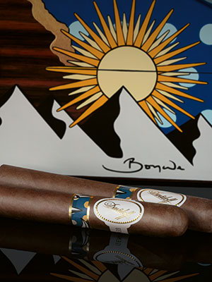 The Davidoff & Boyarde Masterpiece Humidor Elementary with two toro cigars placed in front of it. 