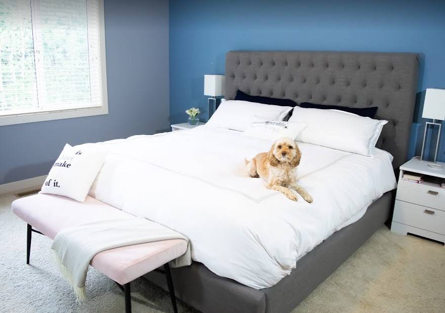 Sealy Mattress