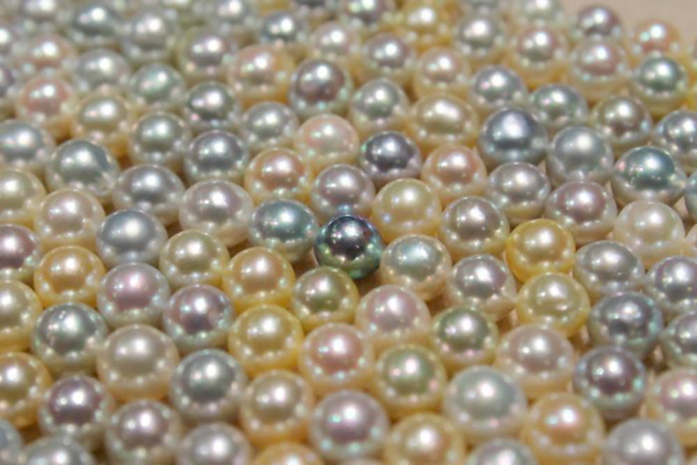 Pearl Colors: Natural Golden Akoya Pearls
